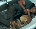 Will Smith: 'Provai ad adottare il cane di Io sono Leggenda, ma non ci riuscii'. Perché?