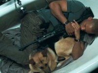 Will Smith: 'Provai ad adottare il cane di Io sono Leggenda, ma non ci riuscii'. Perché?