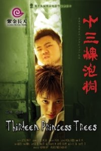 Locandina di Thirteen Princess Trees