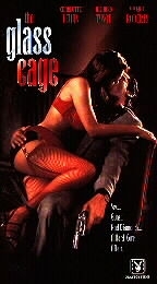 La locandina di The glass cage