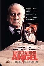 La locandina di Discesa pericolosa