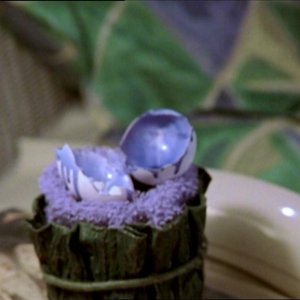 Un'immagine dall'episodio 'Uova cattive' di Buffy - L'ammazzavampiri 