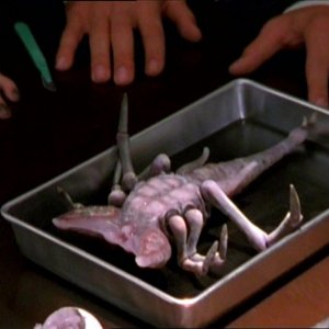 Una scena dell'episodio 'Uova cattive' di Buffy - L'ammazzavampiri 