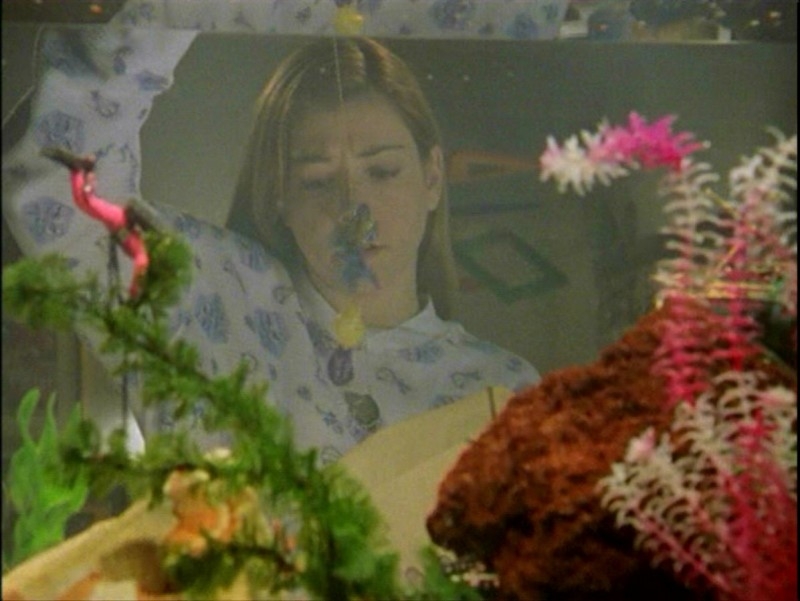 Alyson Hannigan In Una Scena Dell Episodio Passioni Di Buffy L Ammazzavampiri 50935