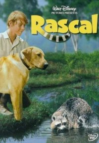 Locandina di Rascal, l'orsetto lavatore