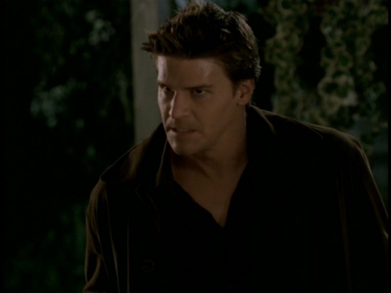 David Boreanaz In Una Scena Dell Episodio Il Sentiero Degli Amanti Di Buffy L Ammazzavampiri 51460