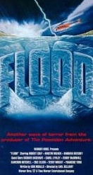 Locandina di Diluvio: la furia di un fiume