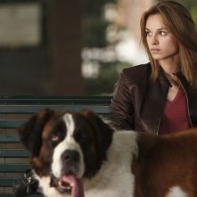 Una scena del film Caos Calmo