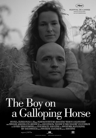 La locandina di The boy on a galloping horse