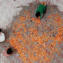 Un'immagine tratta dal film 'The Song of Sparrows'