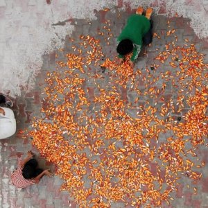 Un'immagine tratta dal film 'The Song of Sparrows'