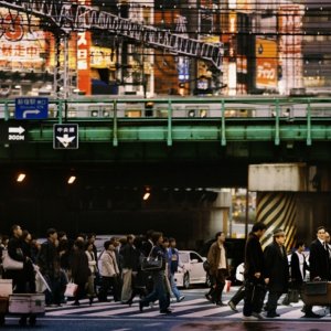 Una sequenza di 'Cherry Blossoms - Hanami'