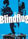 La locandina di Blindflug