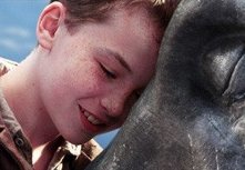 Alex Etel con il drago Crusoe in una scena di The Water Horse - La leggenda degli abissi