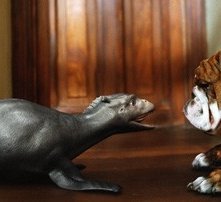 Crusoe, il drago marino di The Water Horse - La leggenda degli abissi