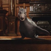 Crusoe, il tenero drago marino protagonista del fantasy The Water Horse - La leggenda degli abissi