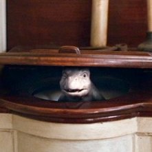 Una buffa espressione di Crusoe, il drago protagonista del fantasy The Water Horse - La leggenda degli abissi