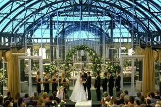American Wedding - Trailer