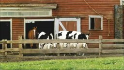 Charlotte's Web - Trailer 2