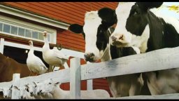 Charlotte's Web - Trailer