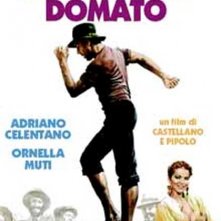 La locandina di Il bisbetico domato