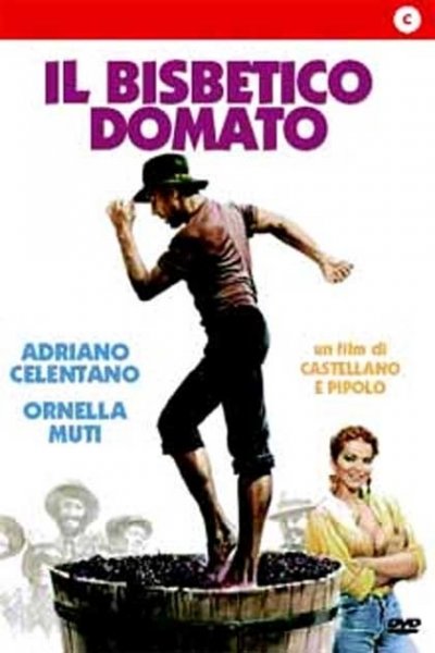 Il Bisbetico Domato Film 1980