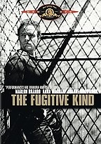 Locandina di Pelle di serpente