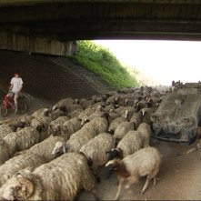 Una scena del documentario Biutiful Cauntri