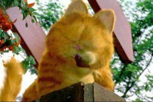 Garfield - Teaser Trailer