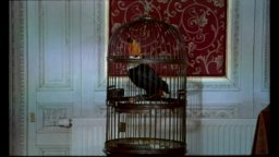 Giardini in autunno - Trailer Italiano