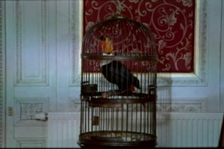 Giardini in autunno - Trailer Italiano