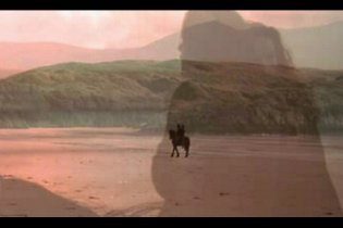 Half Light - Trailer Italiano