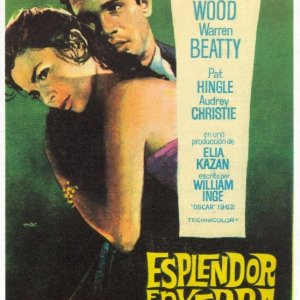 La locandina di Splendore nell'erba