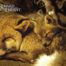 Wallpaper del film La volpe e la bambina