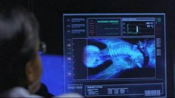 Hulk - International Trailer