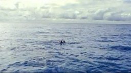 Open Water - Teaser Trailer