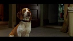 Underdog - Trailer italiano