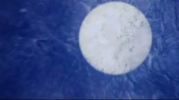 Shortbus - Trailer Italiano