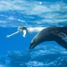 Abigail Breslin nuota con la sua amica foca in una sequenza del film Alla ricerca dell'isola di Nim.