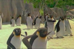 Surf's Up - Teaser Trailer Italiano