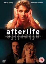 La locandina di Afterlife