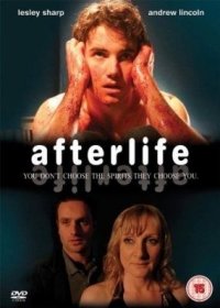 Locandina di Afterlife