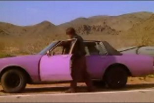 The Darwin Awards - Teaser