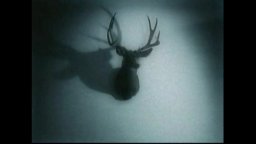 The Ring 2 - Filmato Maledetto