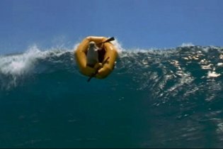 Cast Away - Trailer 1