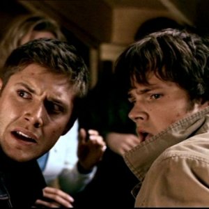 Jensen Ackles e Jared Padalecki soprvavvissuti all'attacco delle api in 'Insetti'