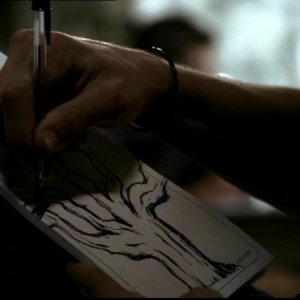 L'albero che Sam Winchester vede nei suoi incubi nell'episodio 'Ritorno a casa'