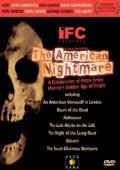 La locandina di The American Nightmare