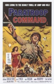 La locandina di Paracadutisti d'assalto