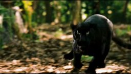 Apocalypto - Teaser